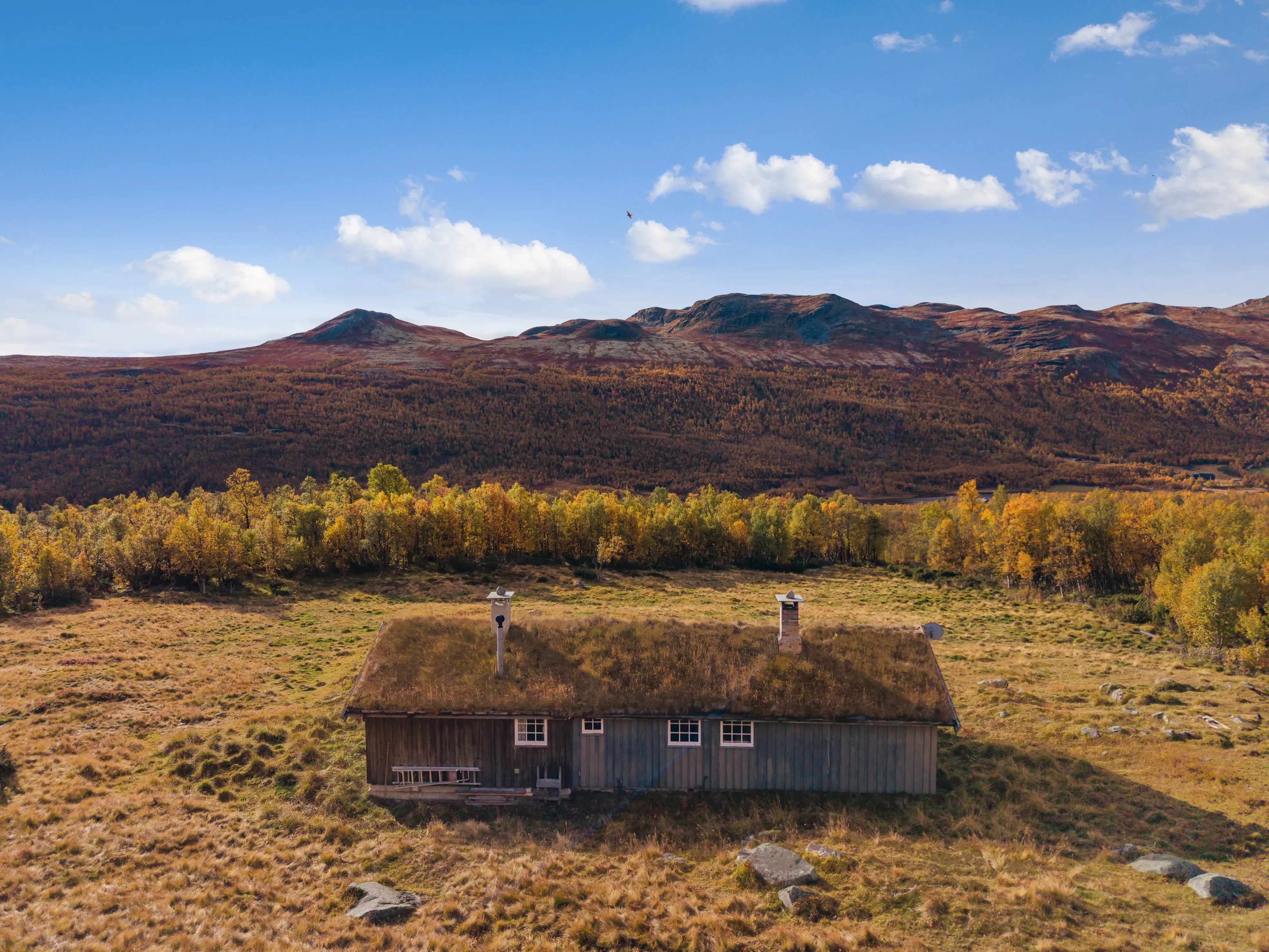 Cabana de meados do século com 3 quartos e aquecimento a lenha na pitoresca Uvdal, na Noruega - Ver imagem 38 de 44
