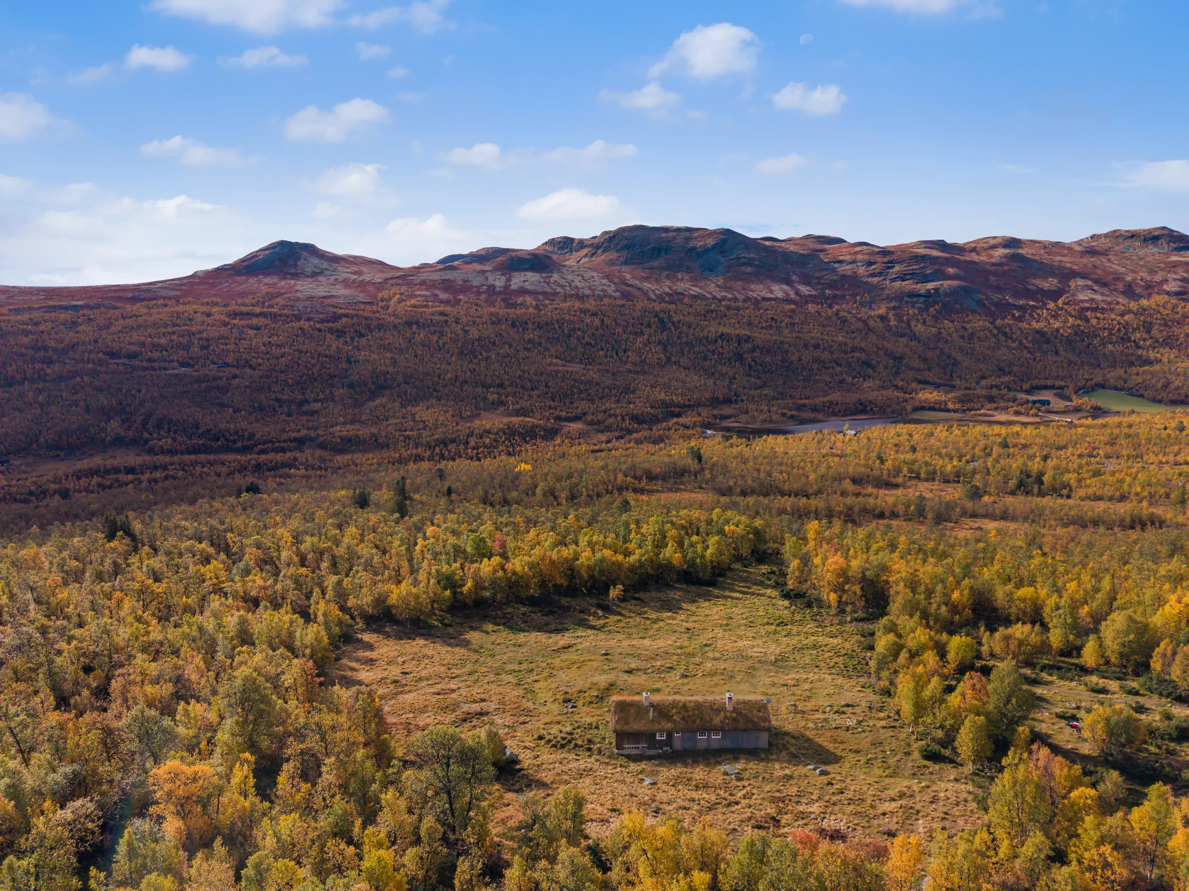 Cabana de meados do século com 3 quartos e aquecimento a lenha na pitoresca Uvdal, na Noruega - Ver imagem 42 de 44