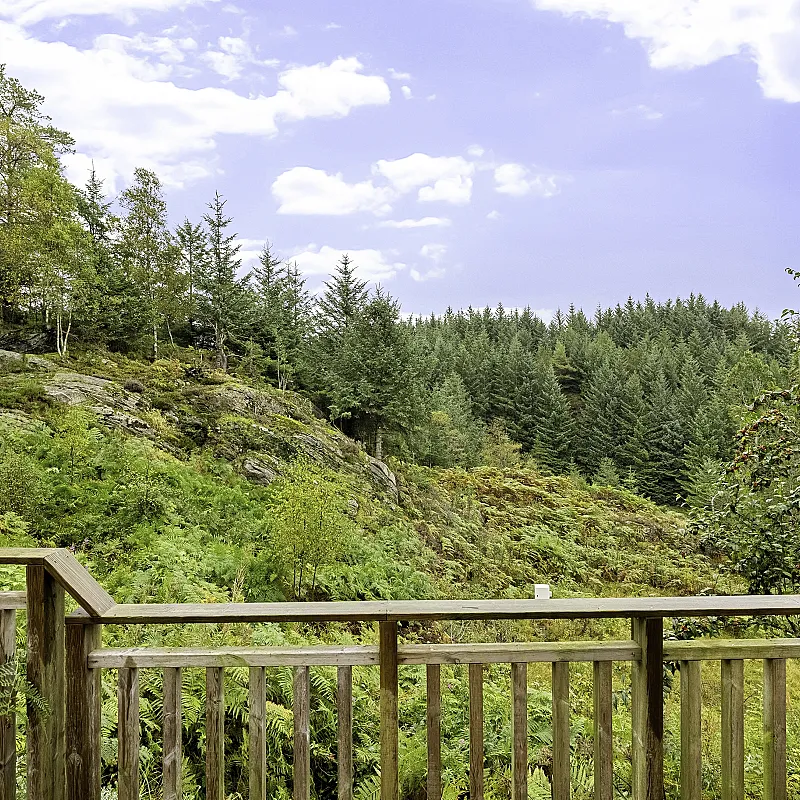 View image 26