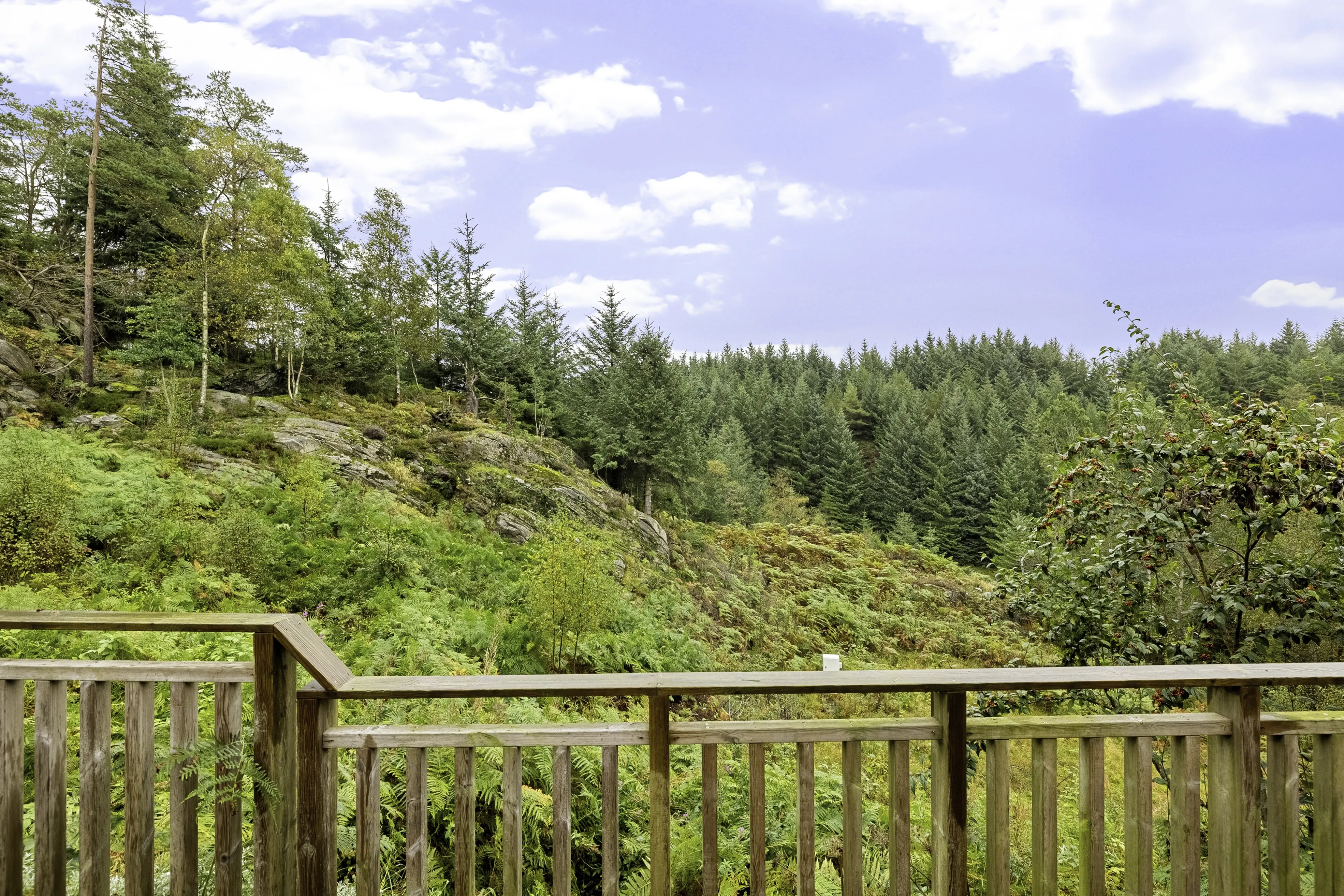 1960s Norwegian Coastal Cabin with Expansive Grounds and Terrace - View image 26 of 32