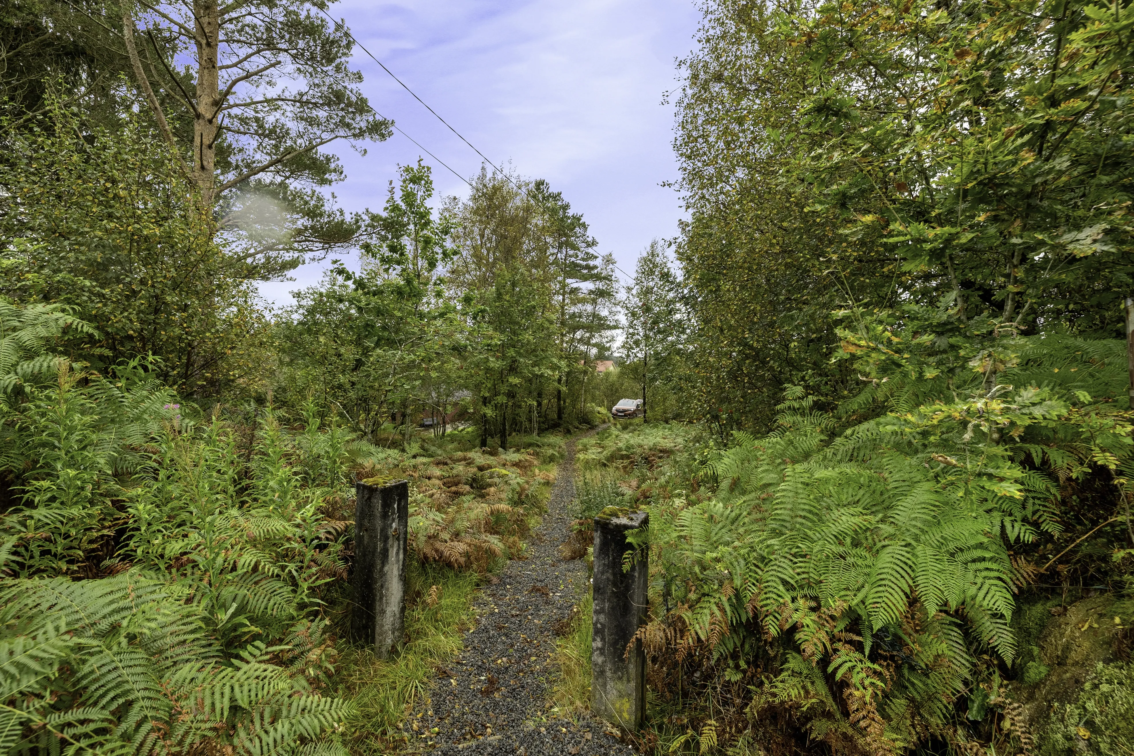 1960s Norwegian Coastal Cabin with Expansive Grounds and Terrace - View image 27 of 32