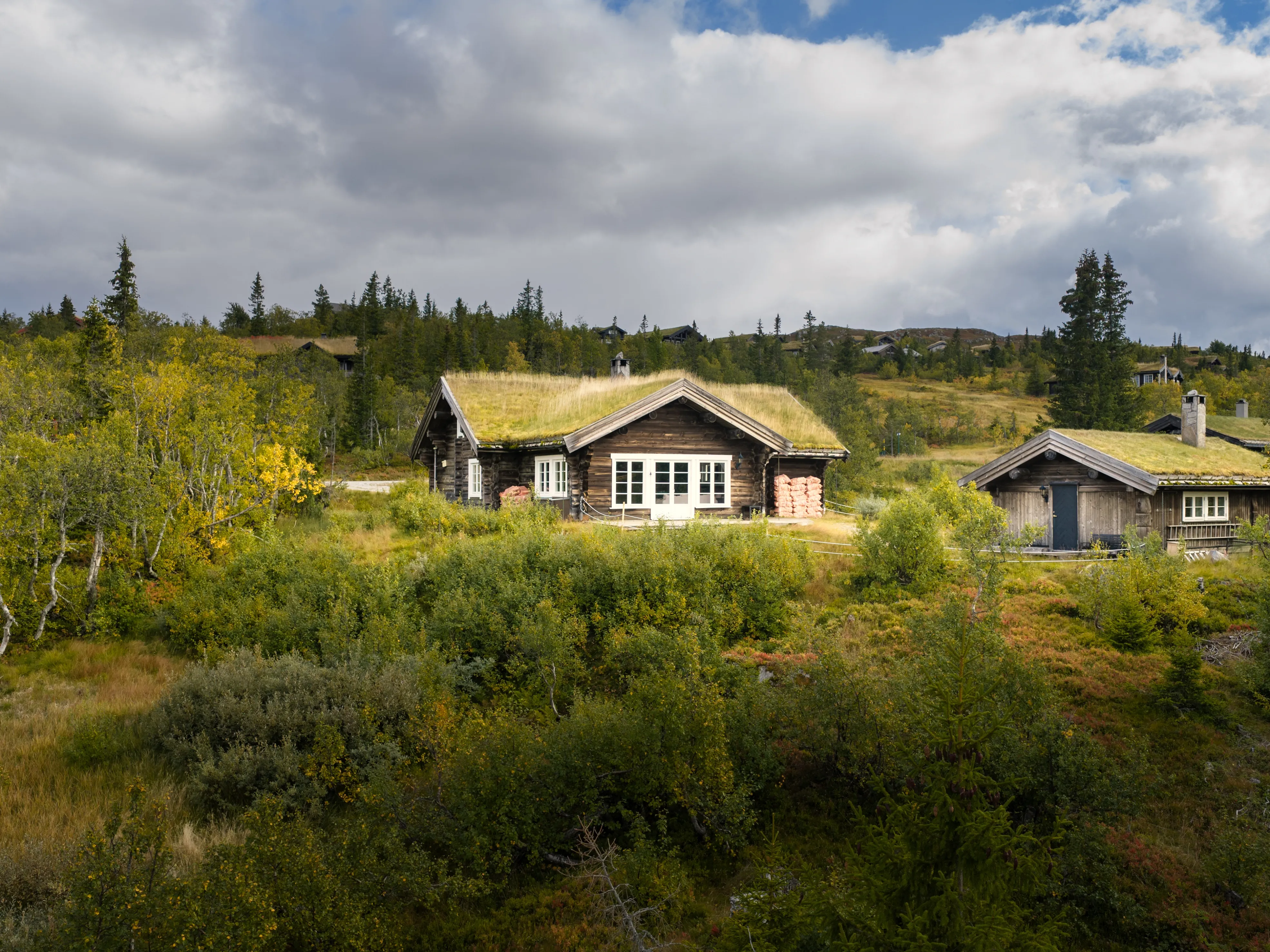 Contemporary Log Cabin with Guest House in Scenic Høgevarde Norway - Image 2
