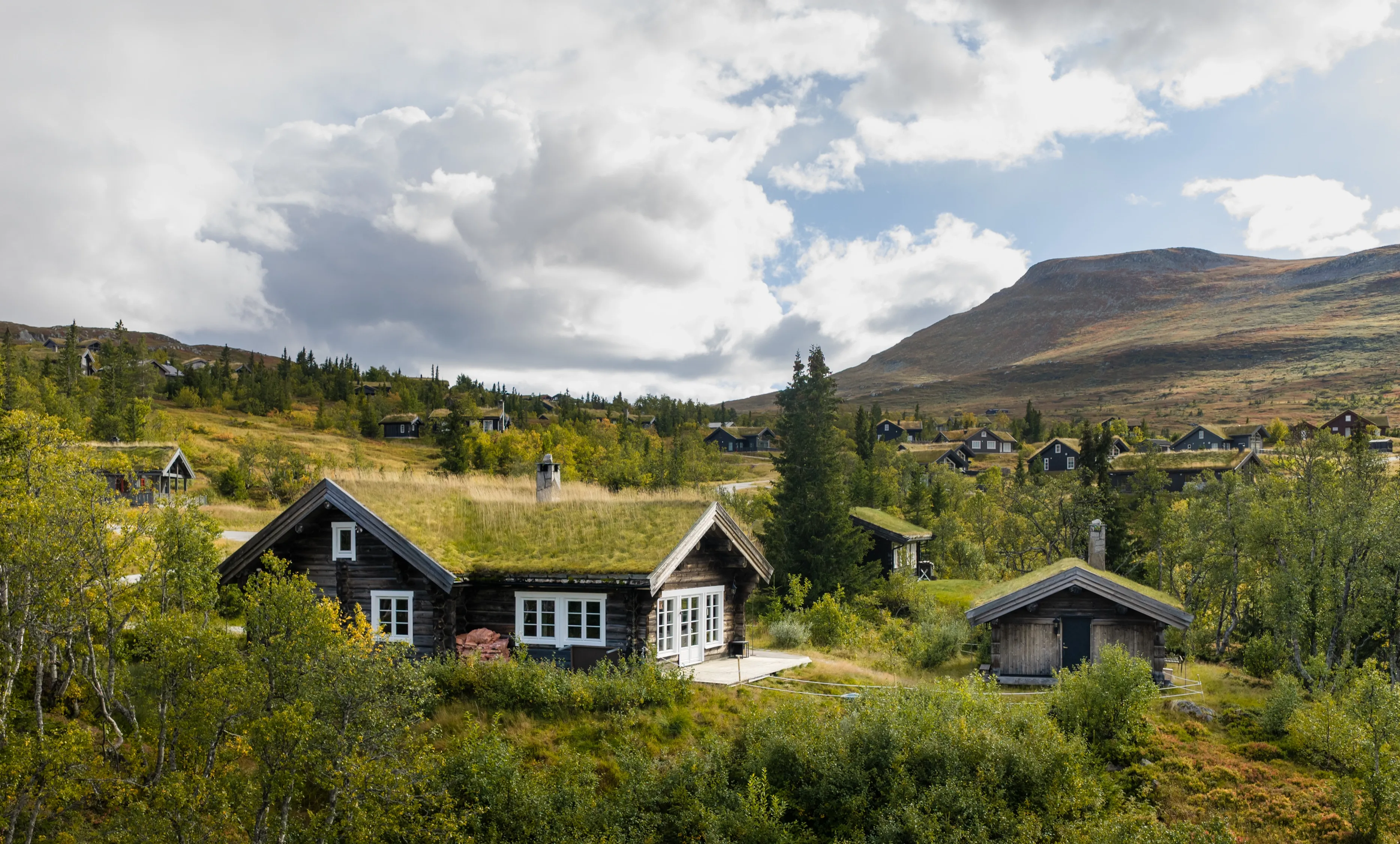 Contemporary Log Cabin with Guest House in Scenic Høgevarde Norway - View image 43 of 51