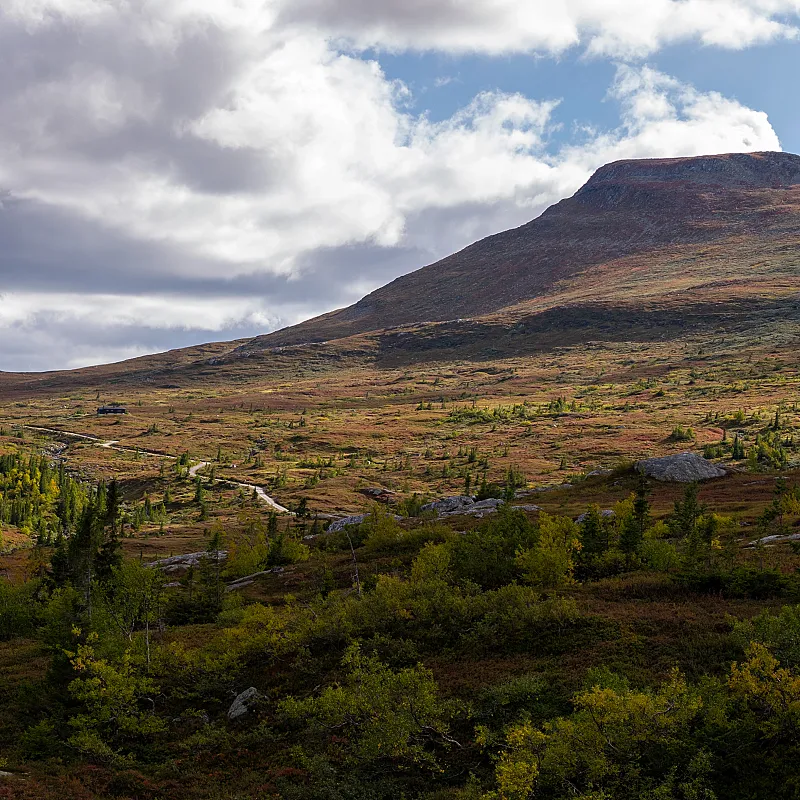 View image 50
