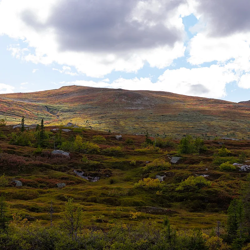 View image 51