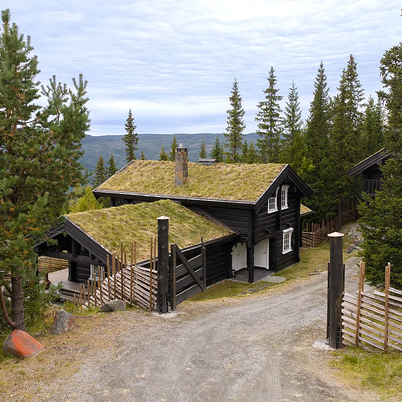 View image 3