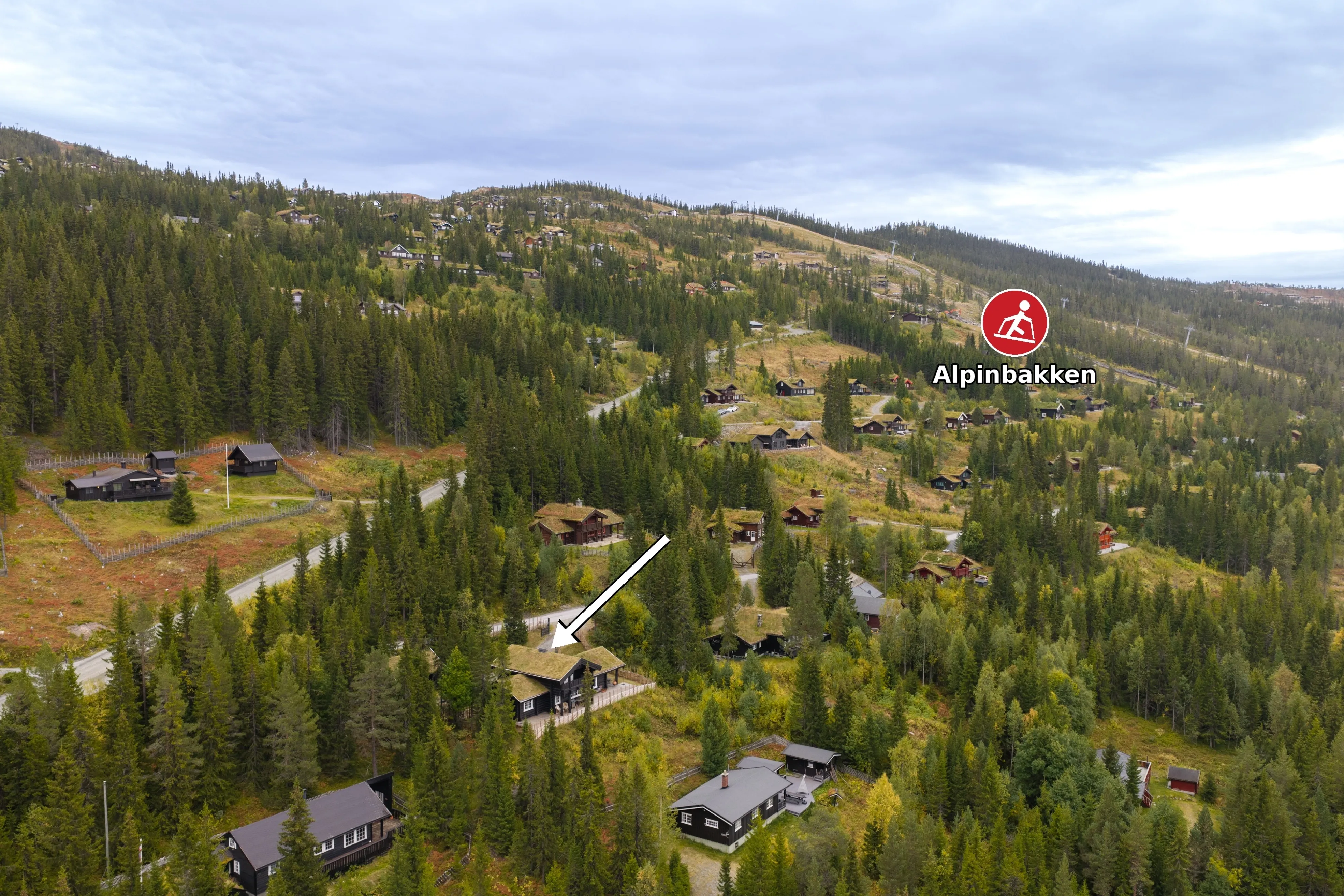 Spacious 6-Bedroom Cabin with Sauna and Annex in Scenic Nesbyen, Norway - View image 7 of 52