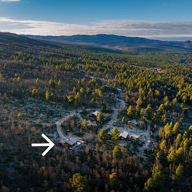 View image 4