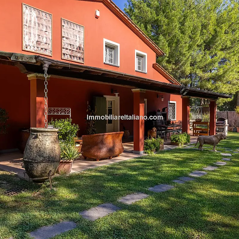 View image 10