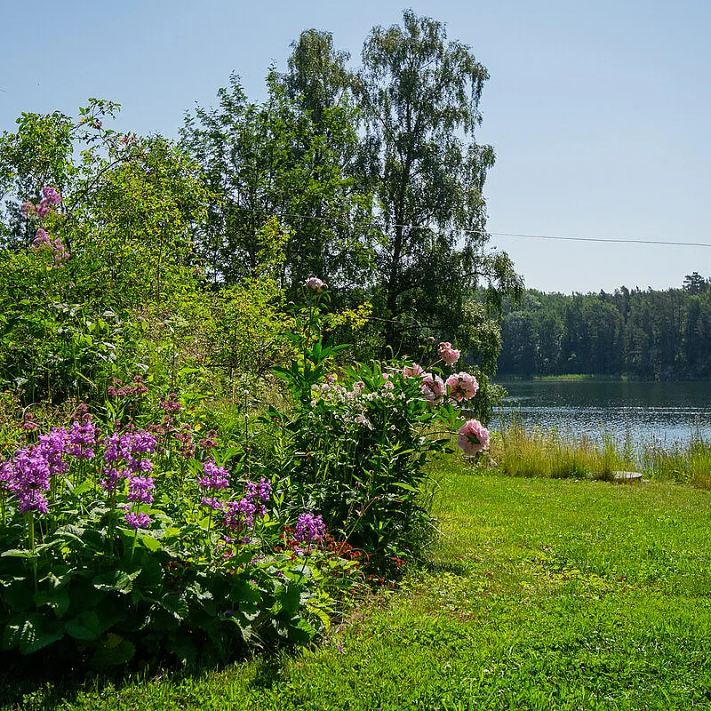 Näytä kuva 43