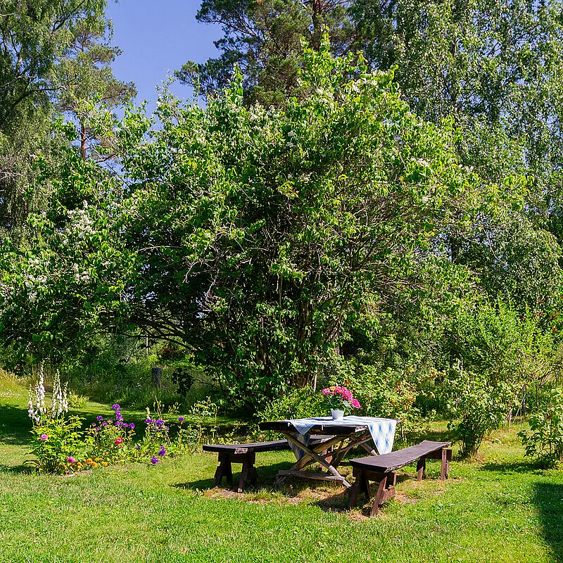Näytä kuva 44