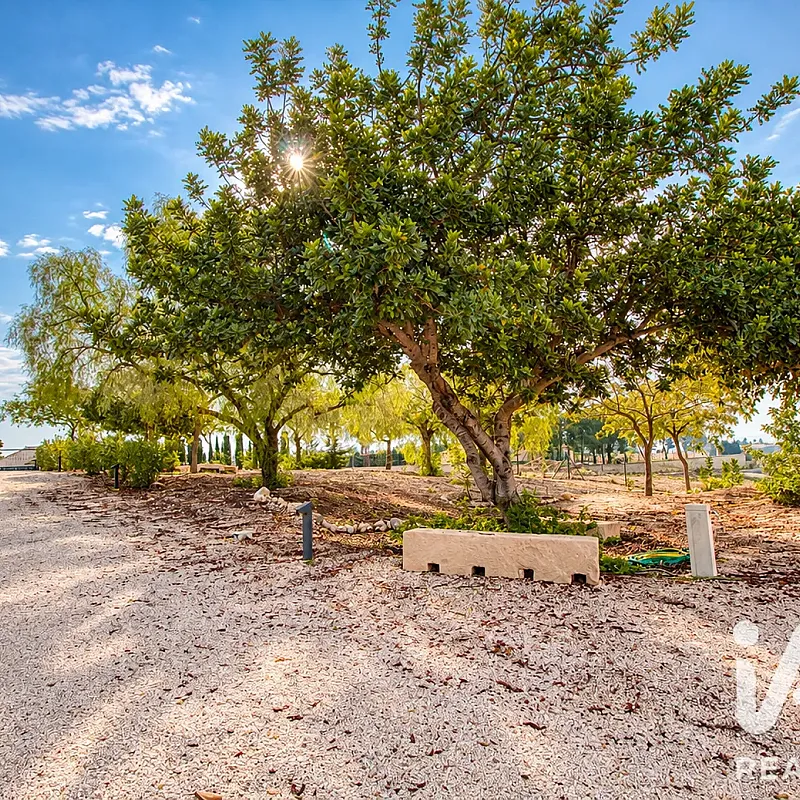 Bild 6 anzeigen