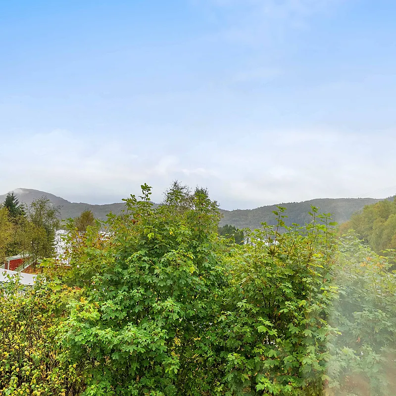 View image 12