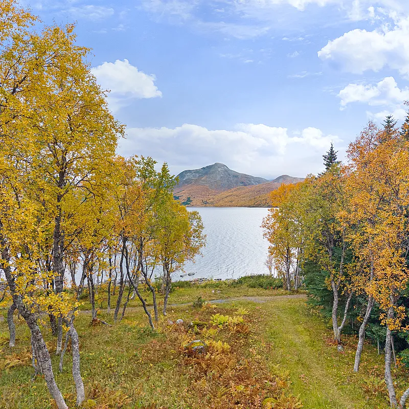 View image 3