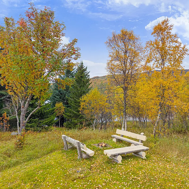 View image 38