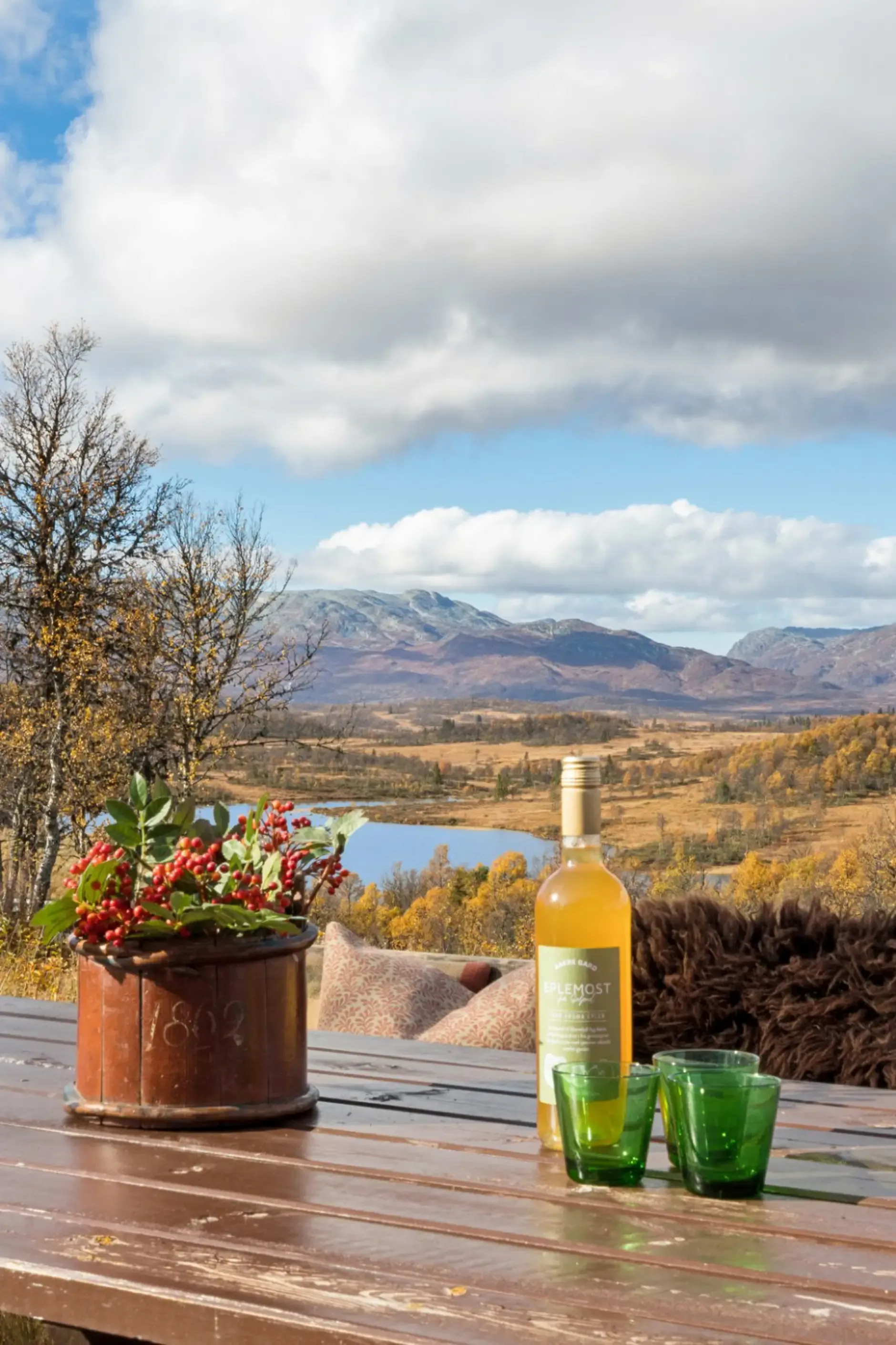 Architect-Designed 5-Bed Country House in Rauland with Mountain Access - View image 38 of 41