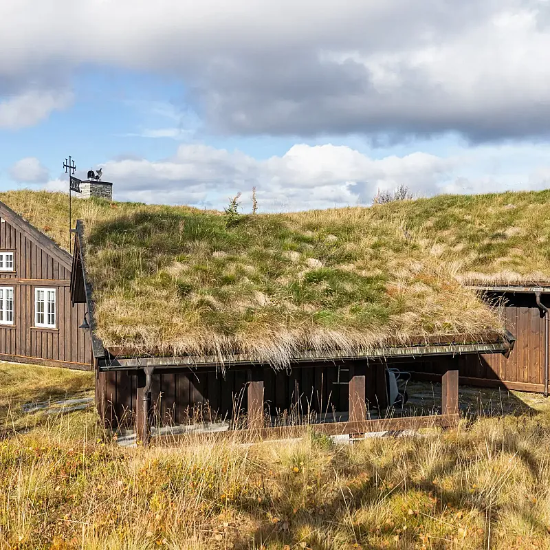 View image 40