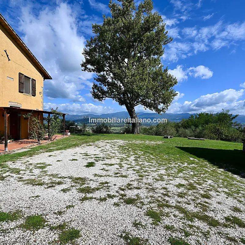 View image 11