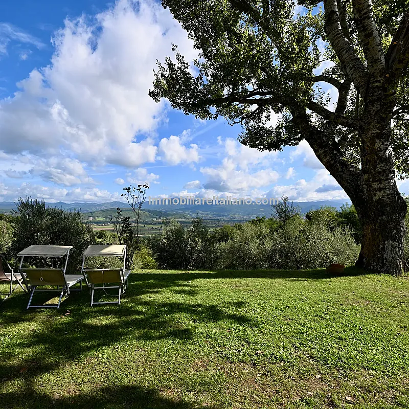 View image 12
