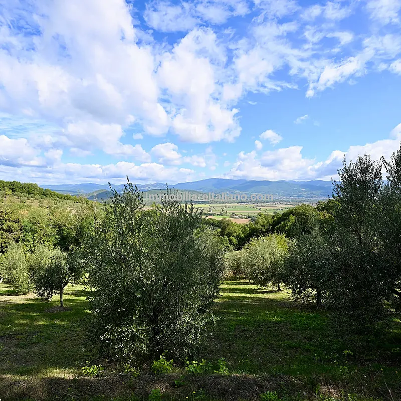 View image 15