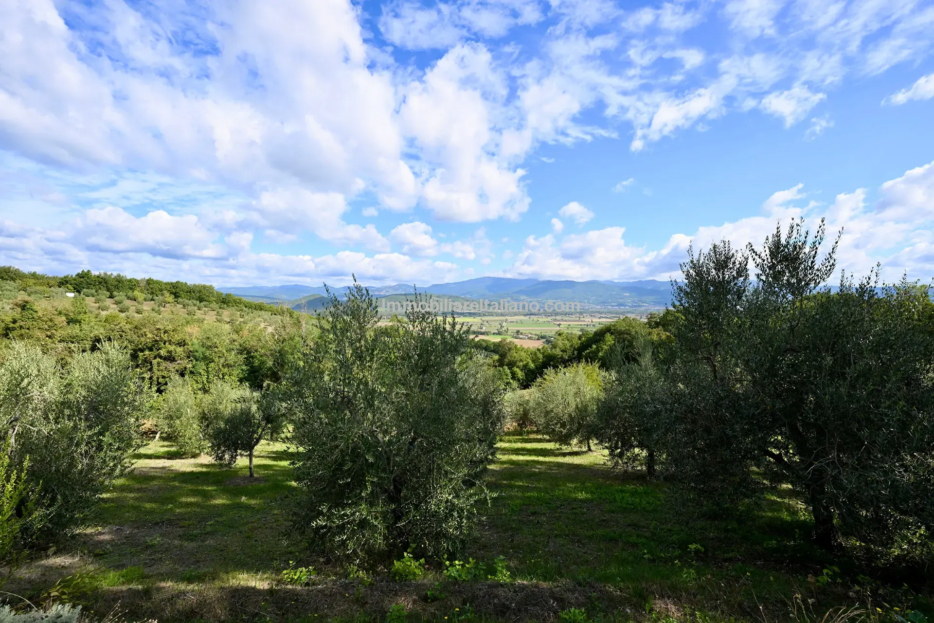 Spacious 5-Bedroom Farmhouse with Garden in Scenic Anghiari, Tuscany - View image 15 of 66
