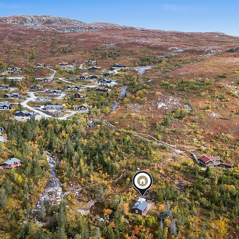 View image 2