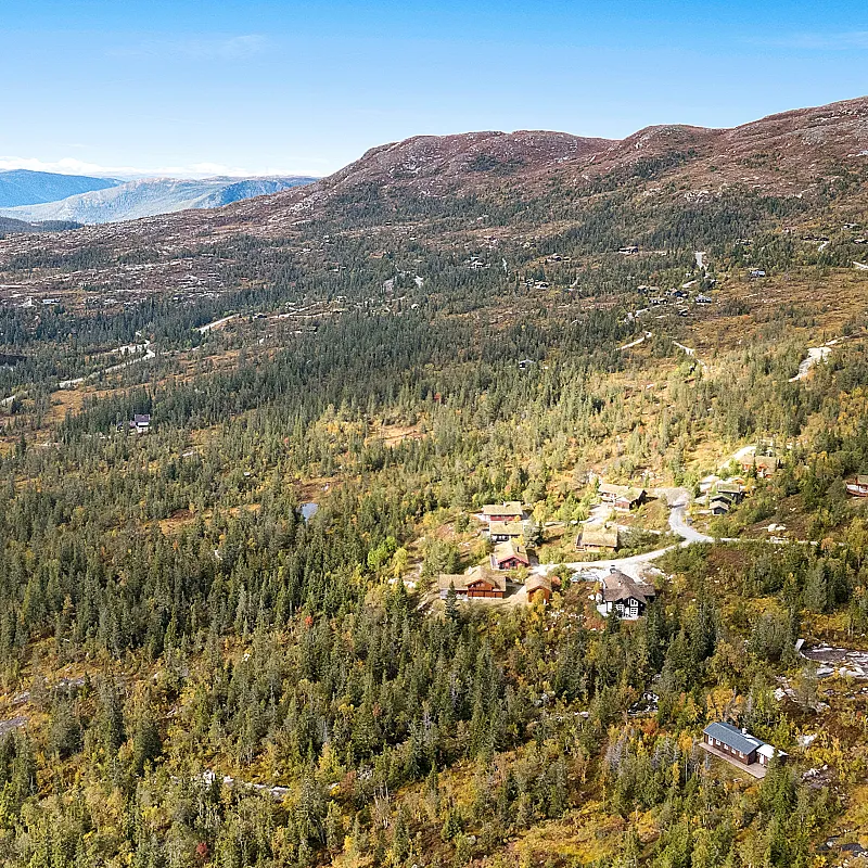 View image 3