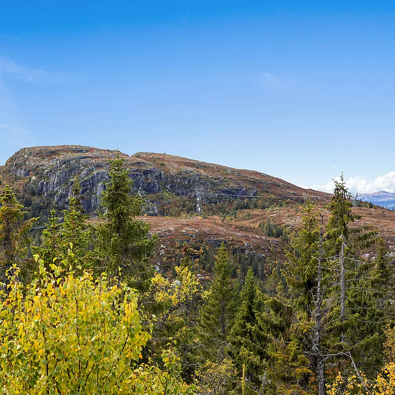 View image 30