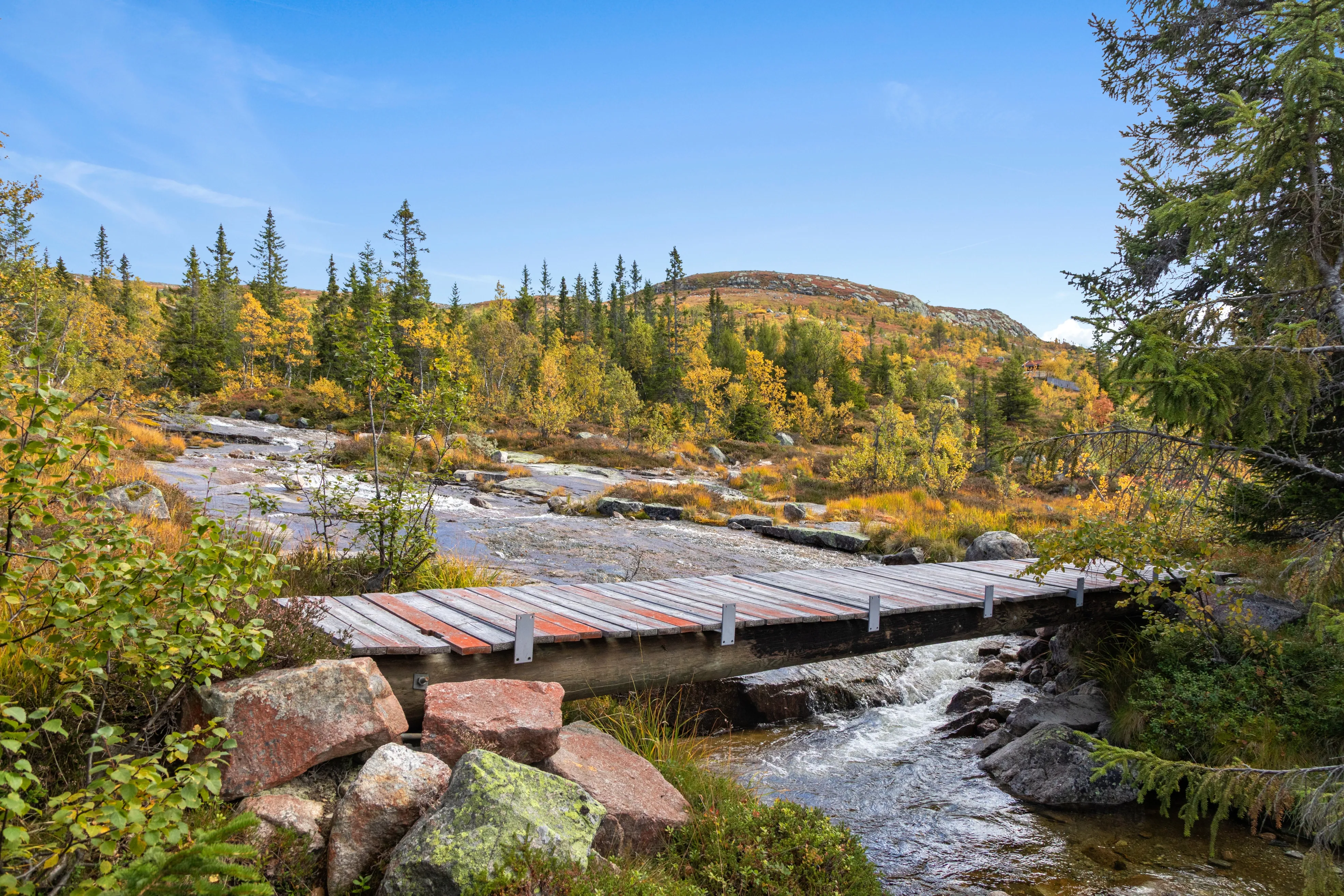 1960s Norwegian Cabin with Expansive Land and Terrace in Scenic Flå - View image 33 of 34