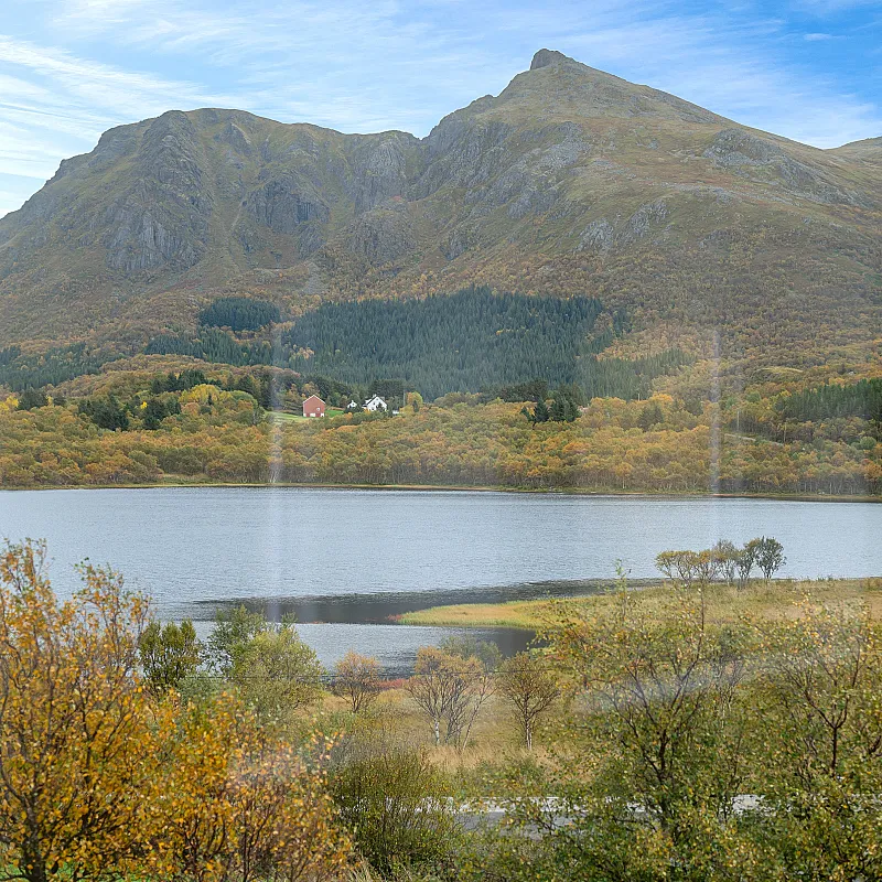 View image 9