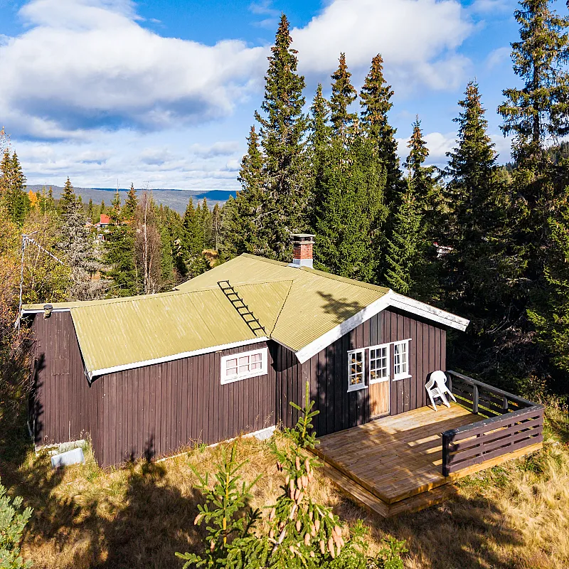 1960s Norwegian Cabin with Garden and Terrace in Nesbyen