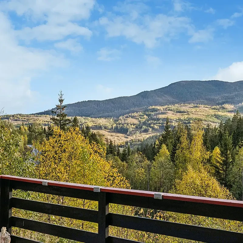 View image 39