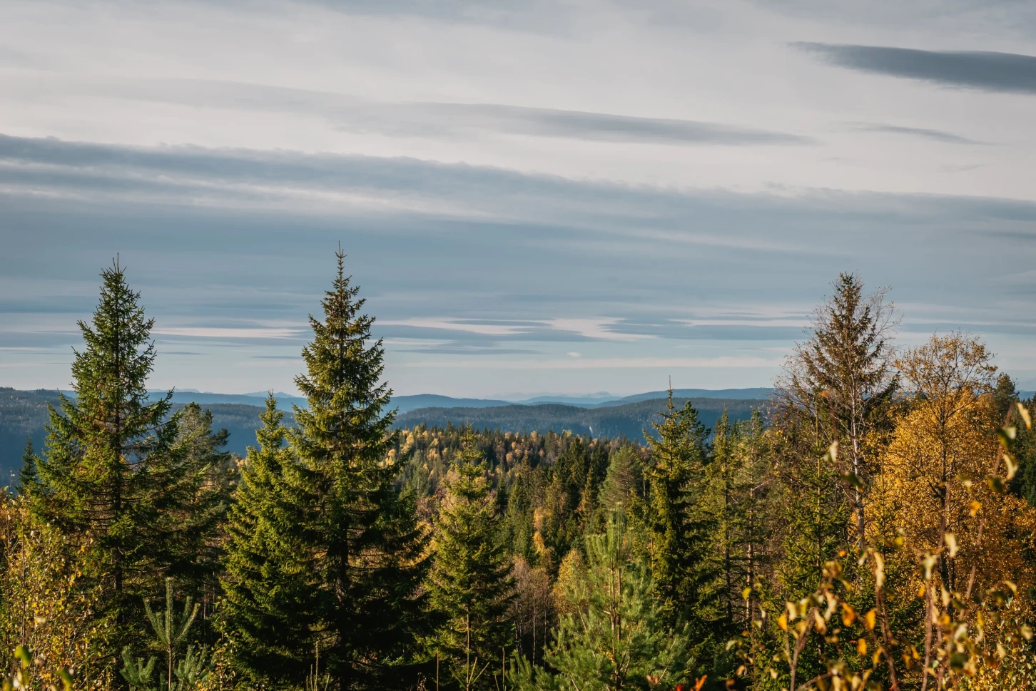 Moderne norsk hytte med solcelleanlegg og stor terrasse - Vis bilde 6 av 38
