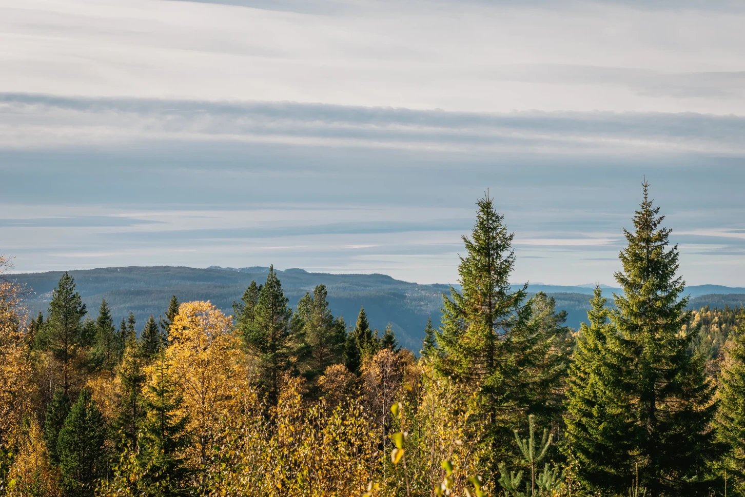 Moderne norsk hytte med solcelleanlegg og stor terrasse - Vis bilde 7 av 38