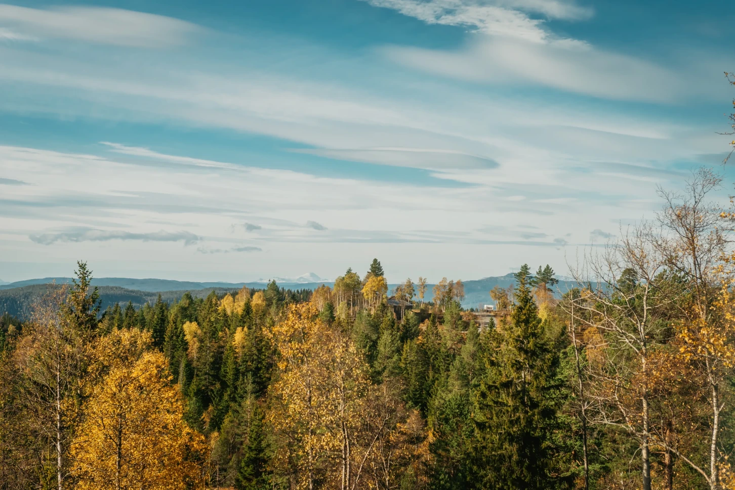 Moderne norsk hytte med solcelleanlegg og stor terrasse - Vis bilde 30 av 38