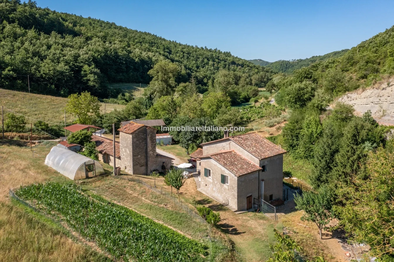 Bondegård med vingård og vidstrakt tomt på landsbygda i Umbria - Image 3