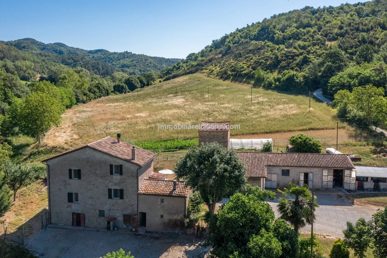 Bondegård med vingård og vidstrakt tomt på landsbygda i Umbria - Image 4