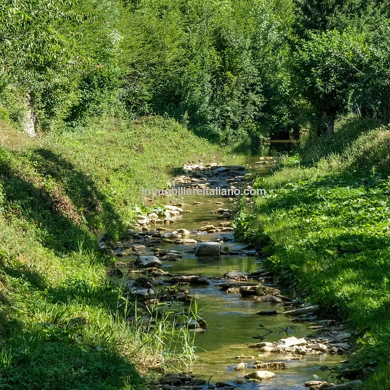 Vis bilde 5
