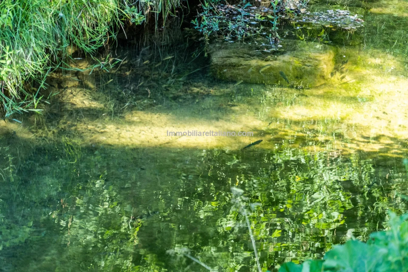 Bondegård med vingård og vidstrakt tomt på landsbygda i Umbria - Vis bilde 6 av 45