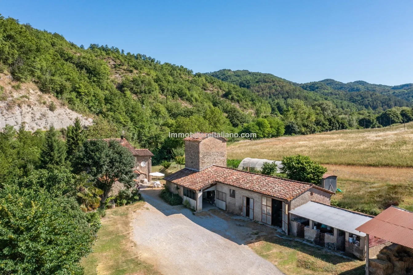 Bondegård med vingård og vidstrakt tomt på landsbygda i Umbria - Vis bilde 7 av 45