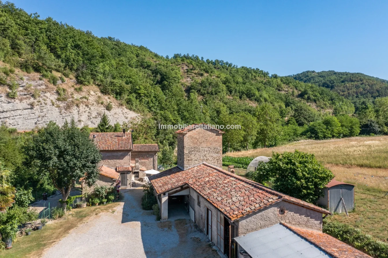 Bondegård med vingård og vidstrakt tomt på landsbygda i Umbria - Vis bilde 8 av 45