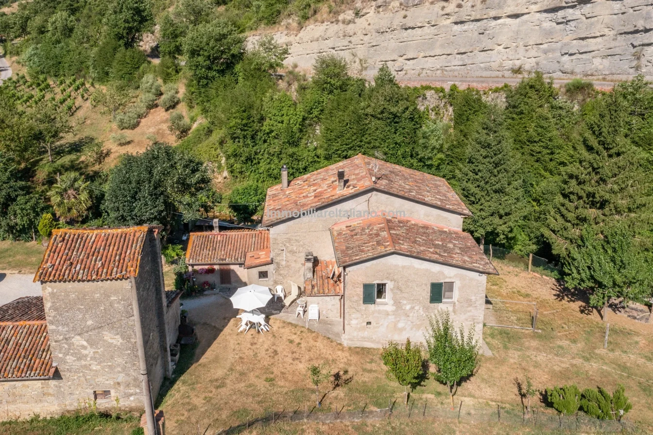 Bondegård med vingård og vidstrakt tomt på landsbygda i Umbria - Vis bilde 10 av 45