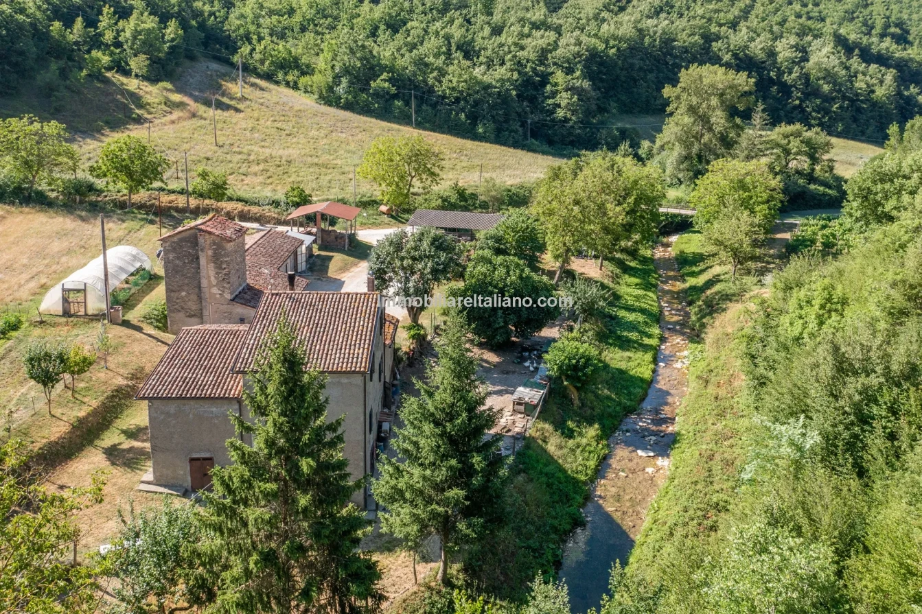 Bondegård med vingård og vidstrakt tomt på landsbygda i Umbria - Vis bilde 11 av 45