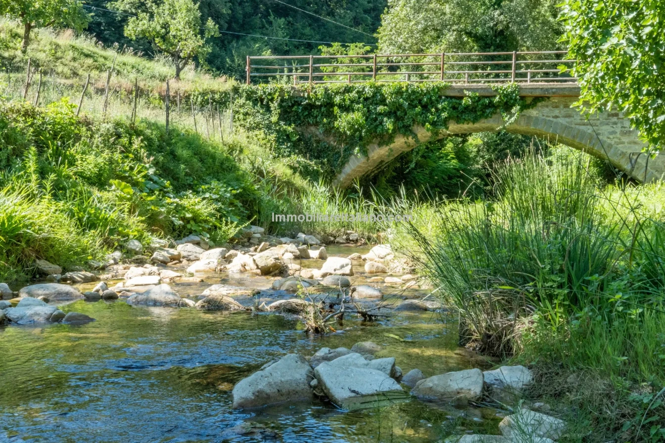 Bondegård med vingård og vidstrakt tomt på landsbygda i Umbria - Vis bilde 13 av 45