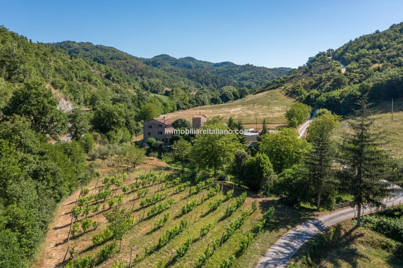 Bondegård med vingård og vidstrakt tomt på landsbygda i Umbria - Vis bilde 14 av 45