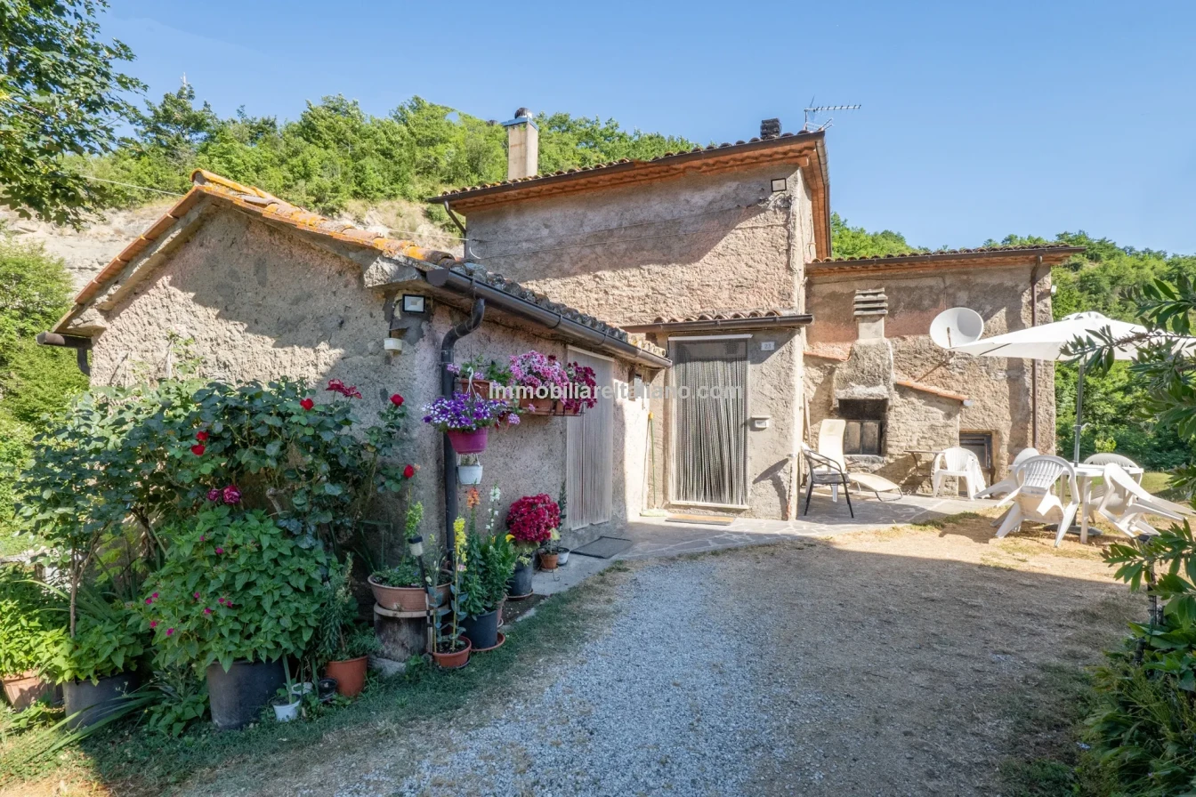 Bondegård med vingård og vidstrakt tomt på landsbygda i Umbria - Vis bilde 15 av 45