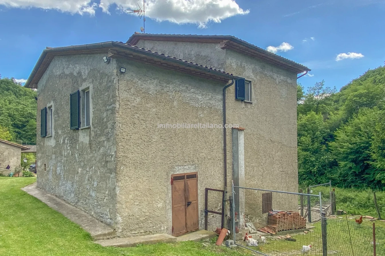 Bondegård med vingård og vidstrakt tomt på landsbygda i Umbria - Vis bilde 20 av 45