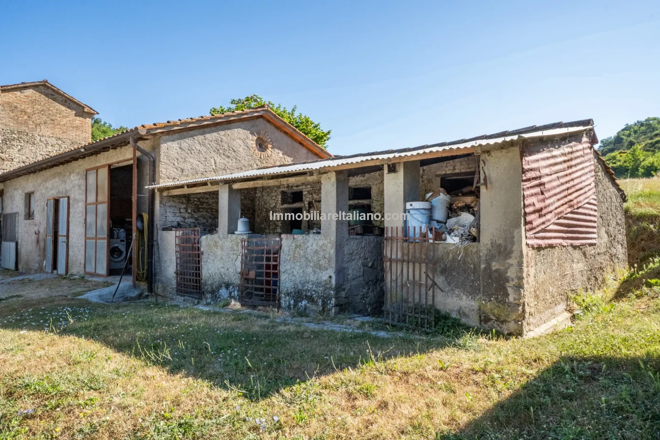 Bondegård med vingård og vidstrakt tomt på landsbygda i Umbria - Vis bilde 24 av 45