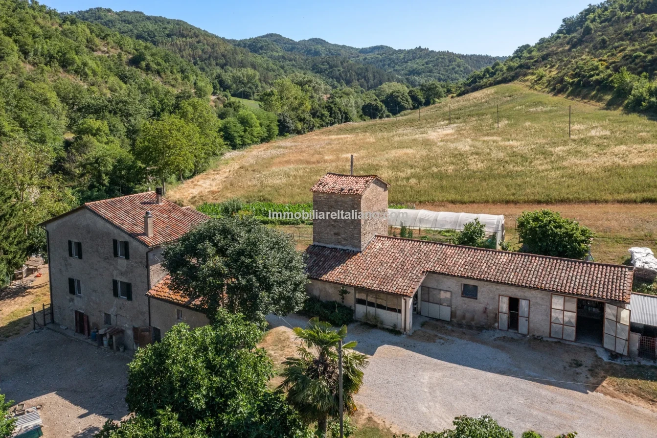 Bondegård med vingård og vidstrakt tomt på landsbygda i Umbria - Image 1