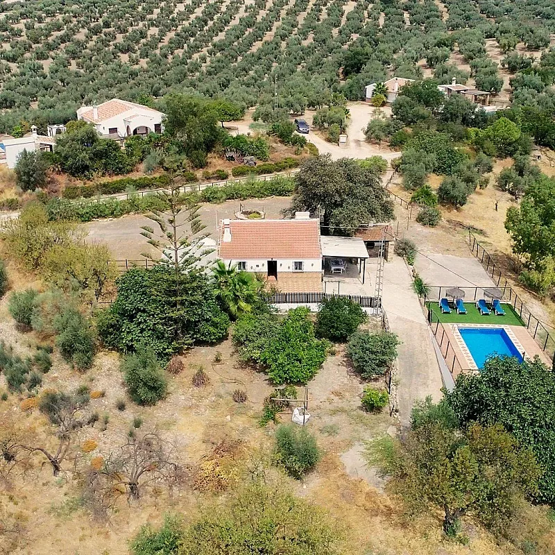 ltXQLlLFBbpr5SL0pKw6aLC1tyZBvZp9Ox1QQGTs